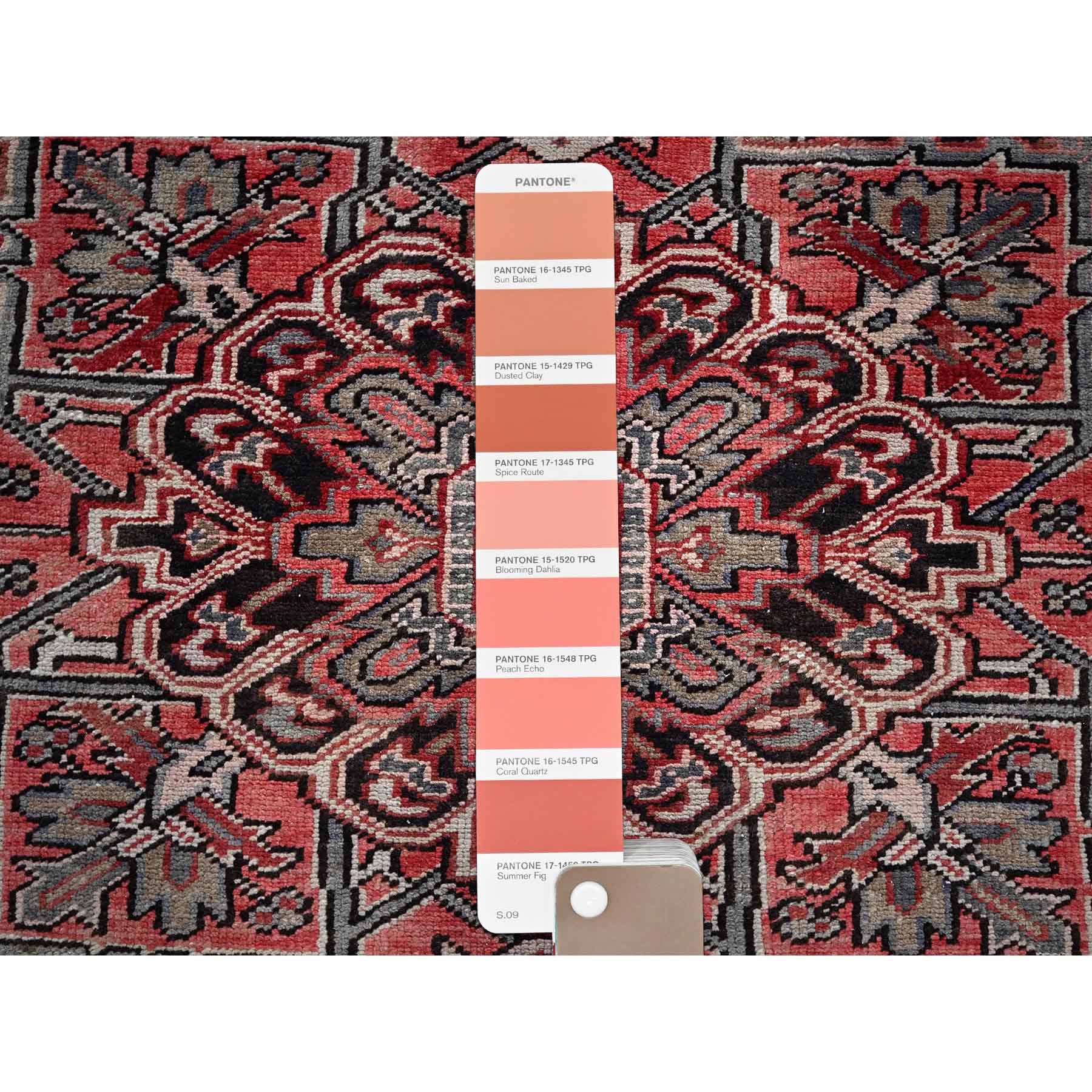 Heriz-Hand-Knotted-Rug-6245