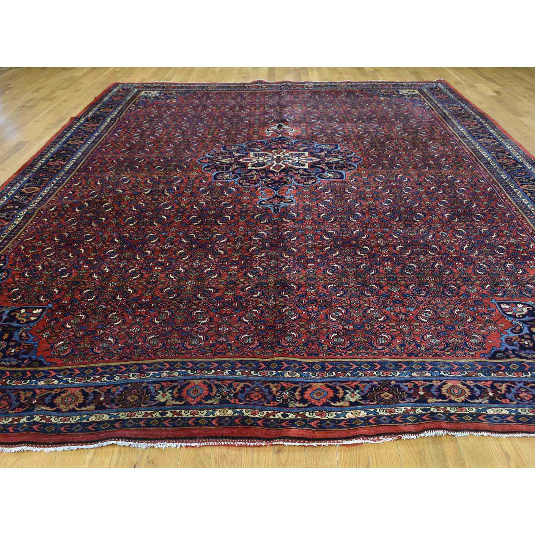Antique-Hand-Knotted-Rug-164200