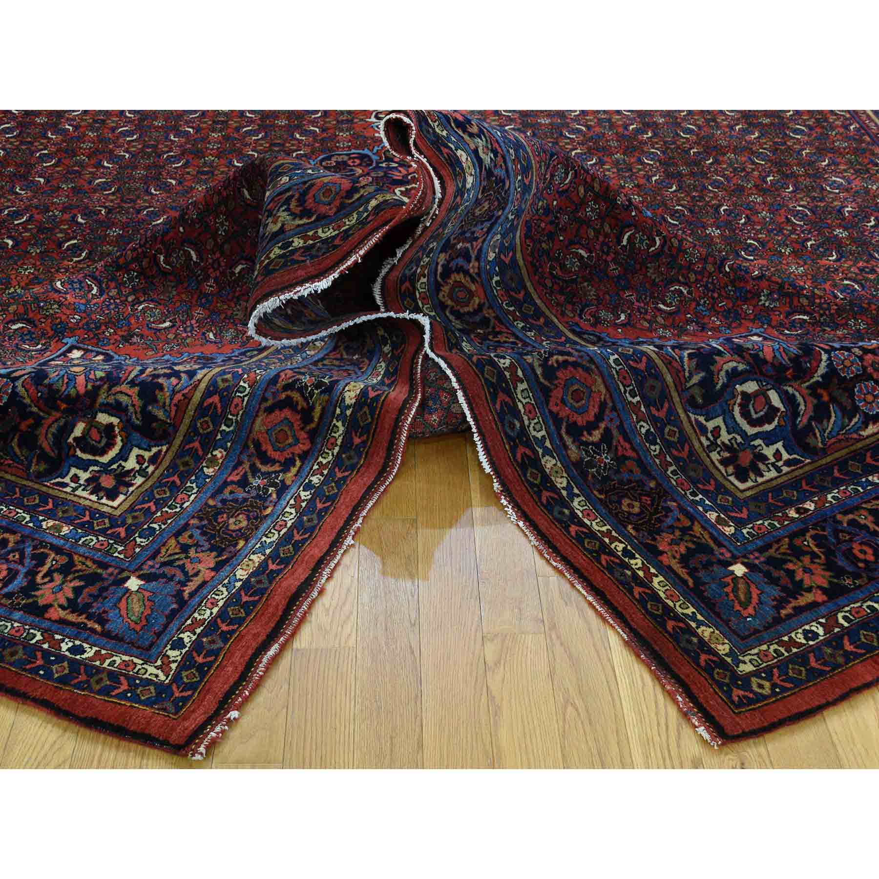 Antique-Hand-Knotted-Rug-164200