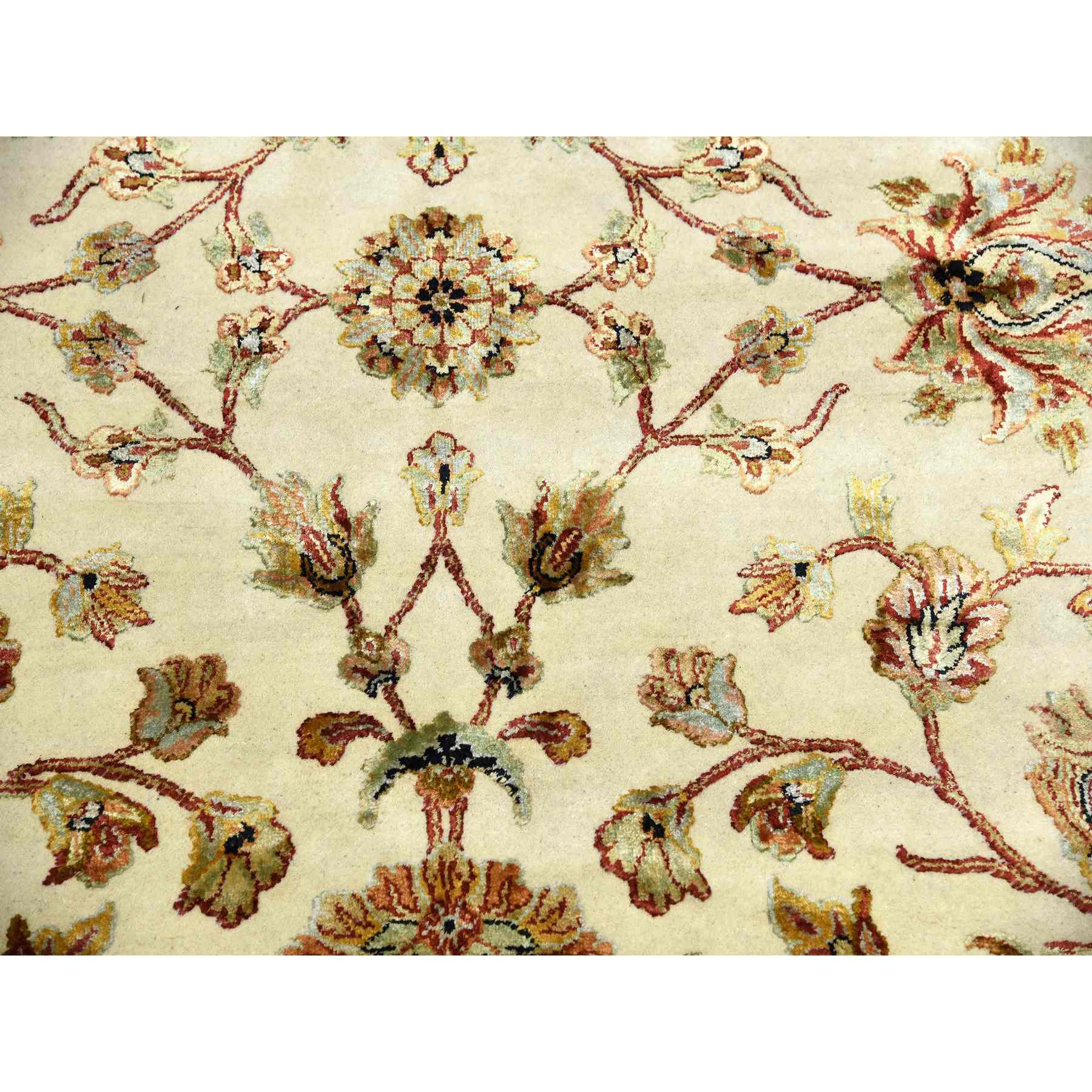 Rajasthan-Hand-Knotted-Rug-376360