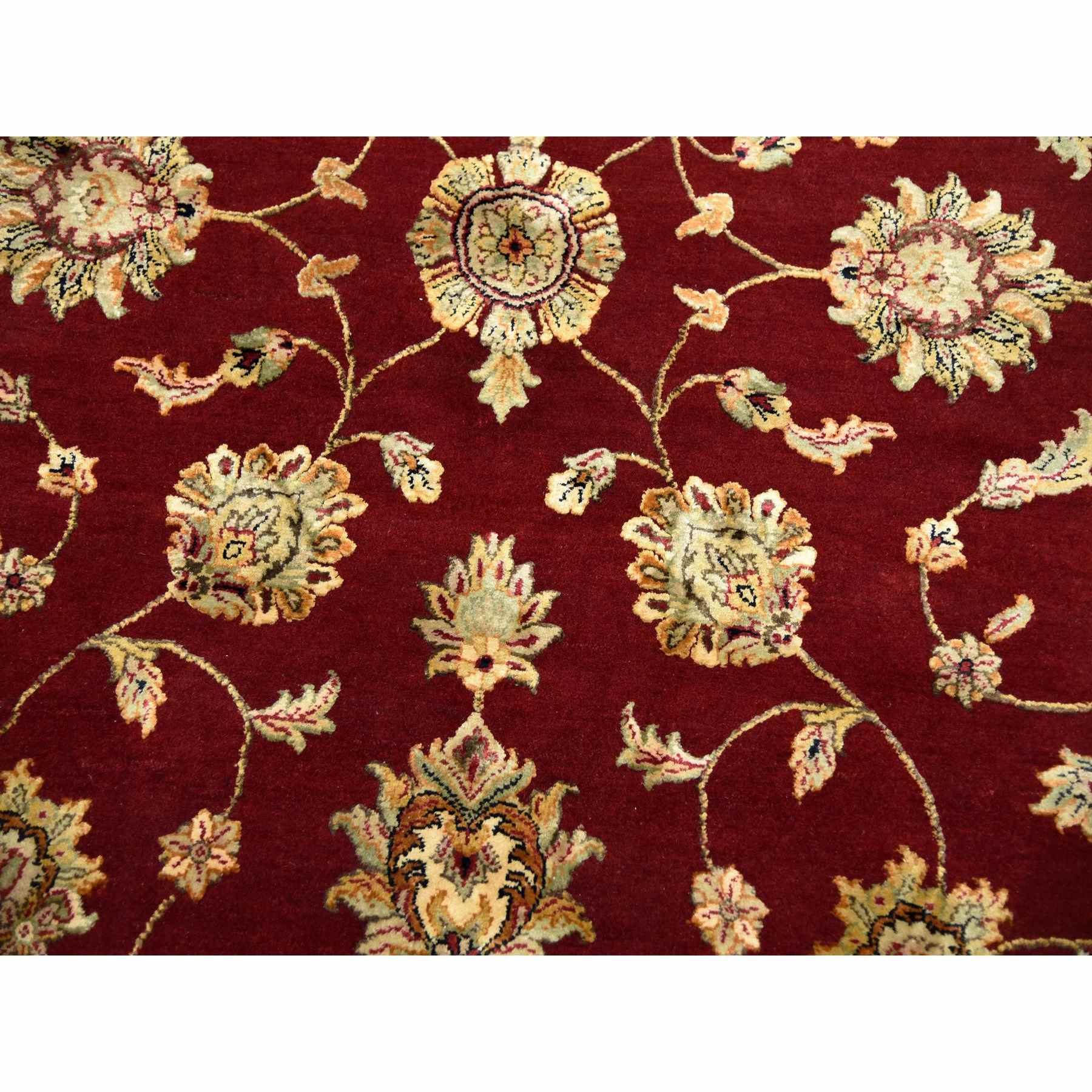 Rajasthan-Hand-Knotted-Rug-376365