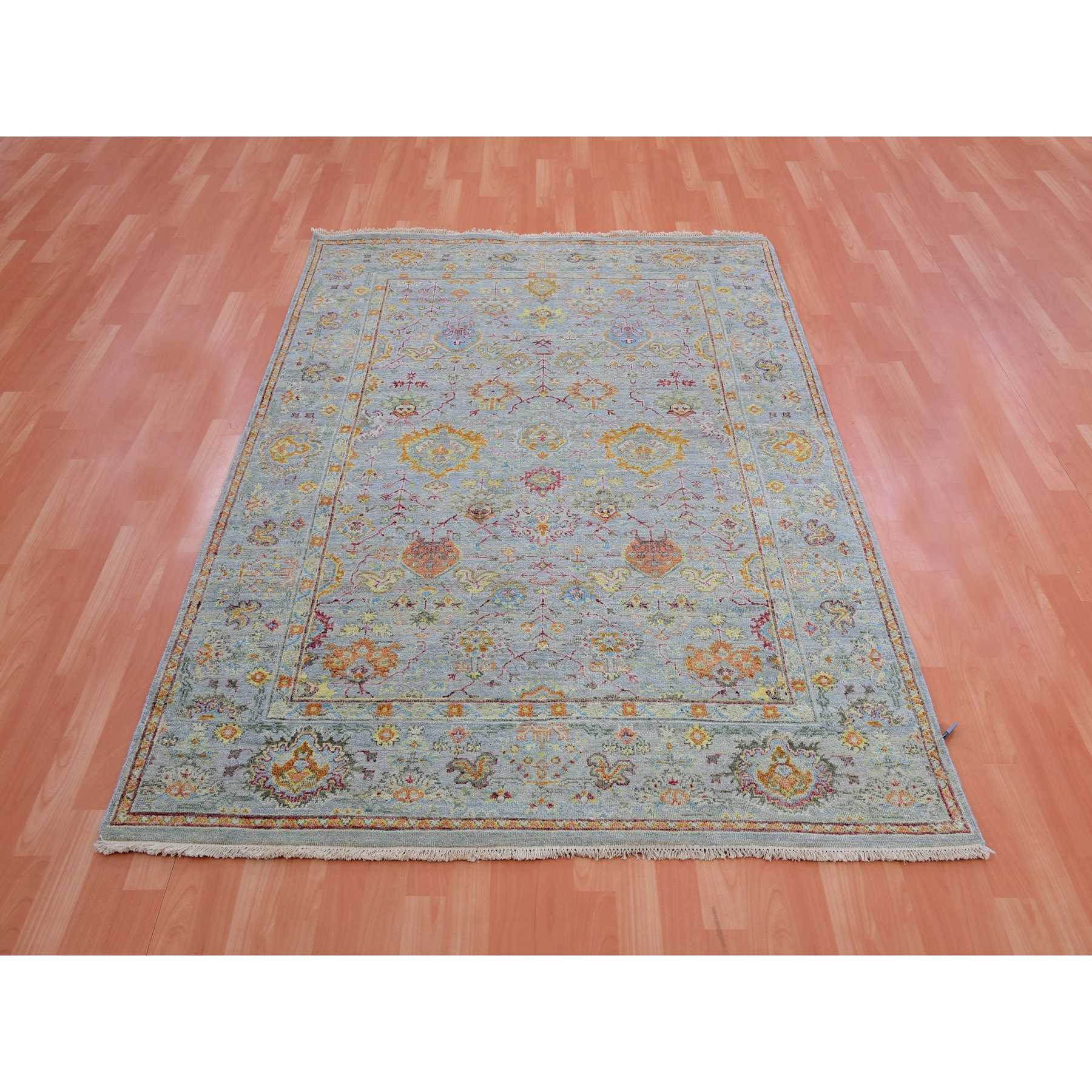 Transitional-Hand-Knotted-Rug-377275