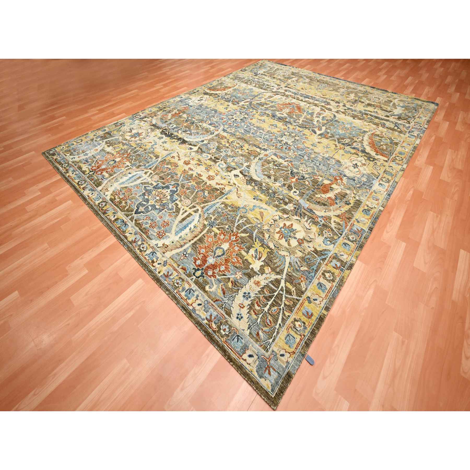 Transitional-Hand-Knotted-Rug-377445